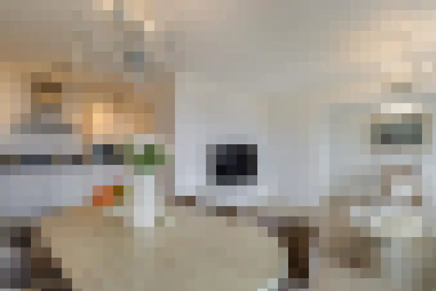 Oostmaaslaan 232 Rotterdam thumbnail 4