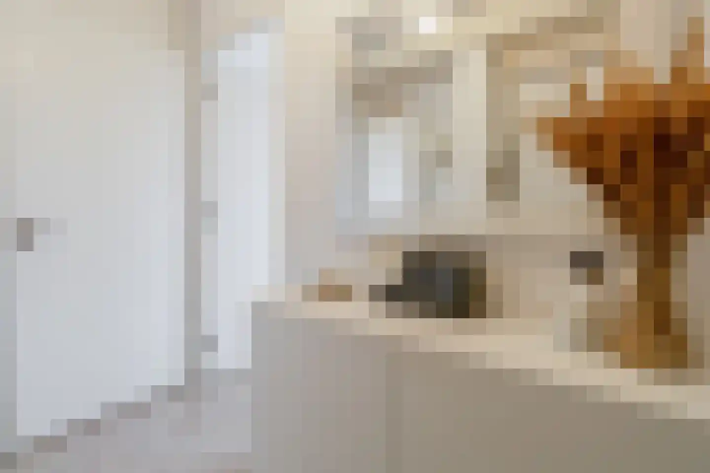 Oostmaaslaan 232 Rotterdam thumbnail 9