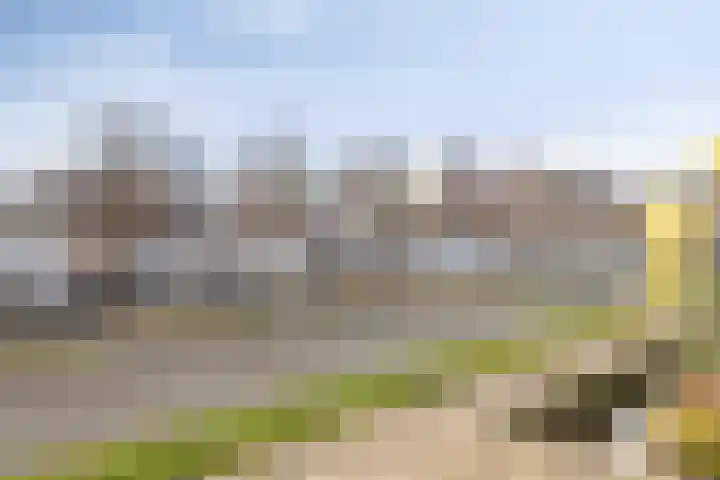 Oostmaaslaan 233 C Rotterdam thumbnail 10