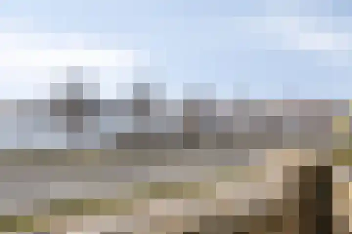 Oostmaaslaan 233 C Rotterdam thumbnail 11