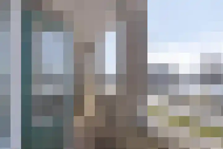 Oostmaaslaan 233 C Rotterdam thumbnail 9