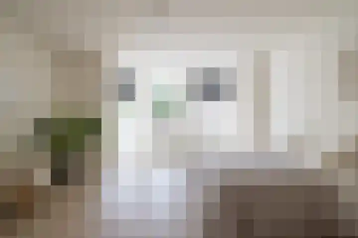 Oostmaaslaan 247 A Rotterdam thumbnail 12
