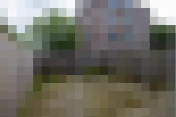 Oostmaaslaan 247 A Rotterdam thumbnail 5