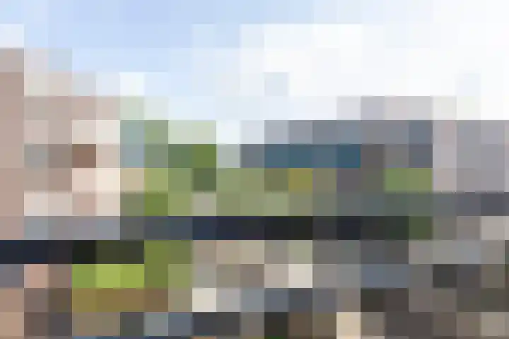 Oostmaaslaan 249 B 01 Rotterdam thumbnail 10