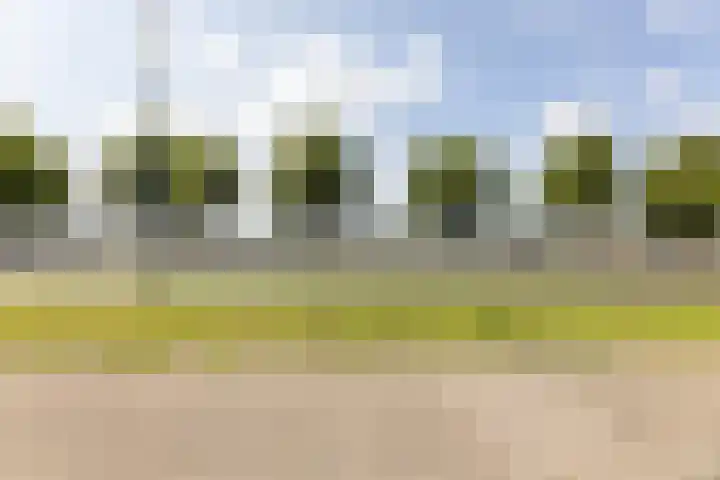 Oostmaaslaan 249 B 01 Rotterdam thumbnail 11