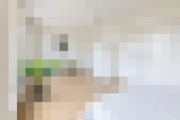 Oostmaaslaan 249 B 01 Rotterdam thumbnail 7