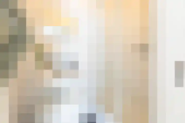 Oostmaaslaan 249 B 01 Rotterdam thumbnail 9