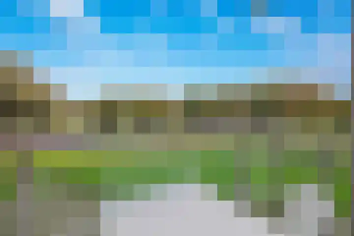 Oostmaaslaan 254 Rotterdam thumbnail 14