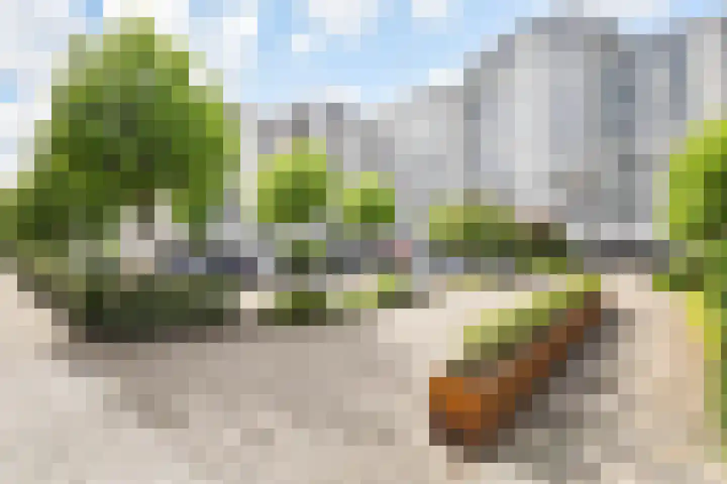Oostmaaslaan 260 Rotterdam foto 3