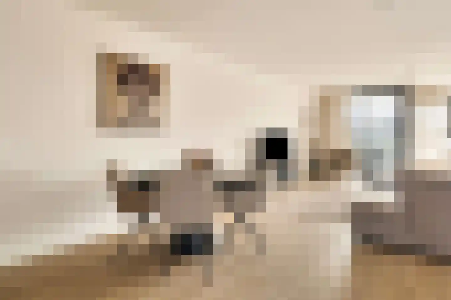 Oostmaaslaan 270 Rotterdam thumbnail 4