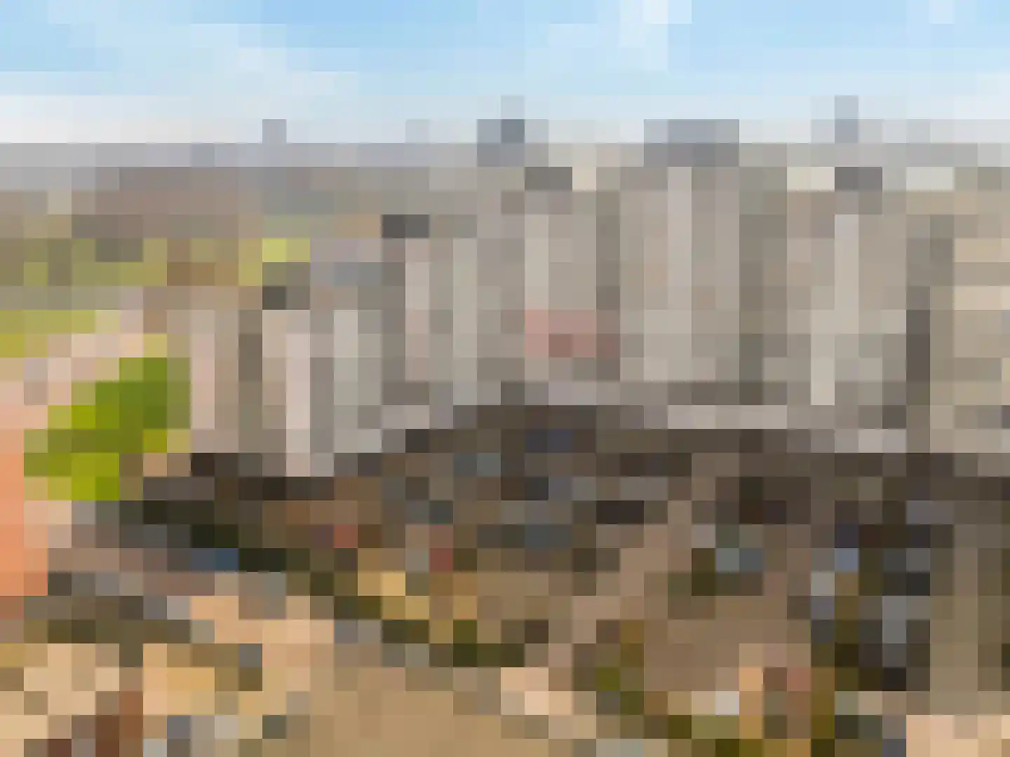 Oostmaaslaan 270 Rotterdam thumbnail 43