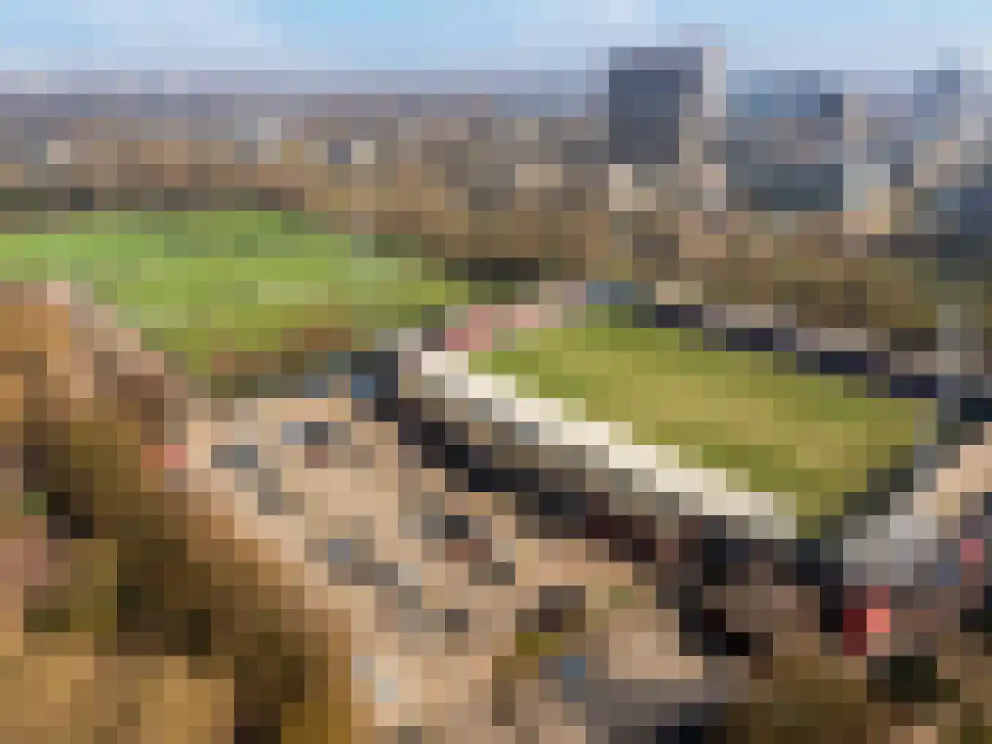 Oostmaaslaan 270 Rotterdam thumbnail 48