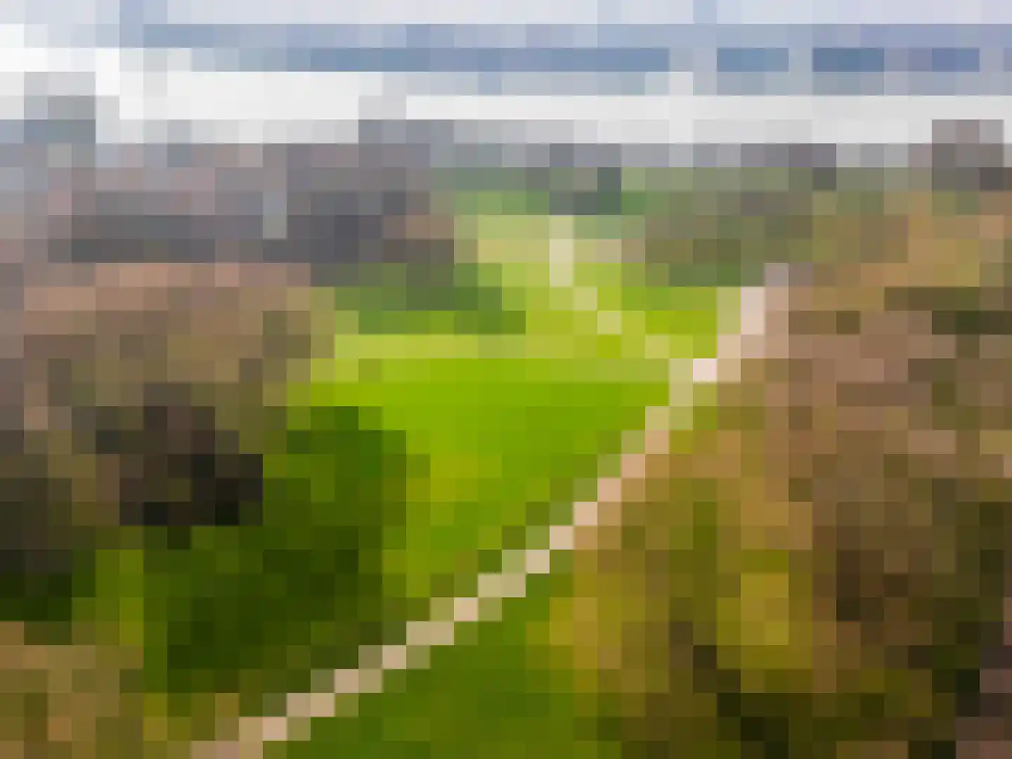 Oostmaaslaan 270 Rotterdam thumbnail 51