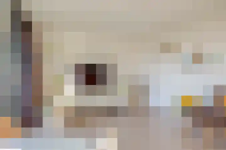 Oostmaaslaan 274 Rotterdam thumbnail 14