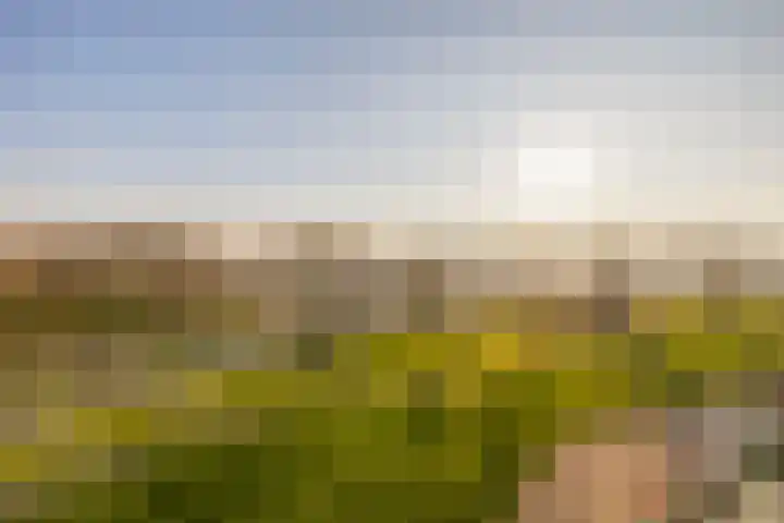 Oostmaaslaan 274 Rotterdam thumbnail 30