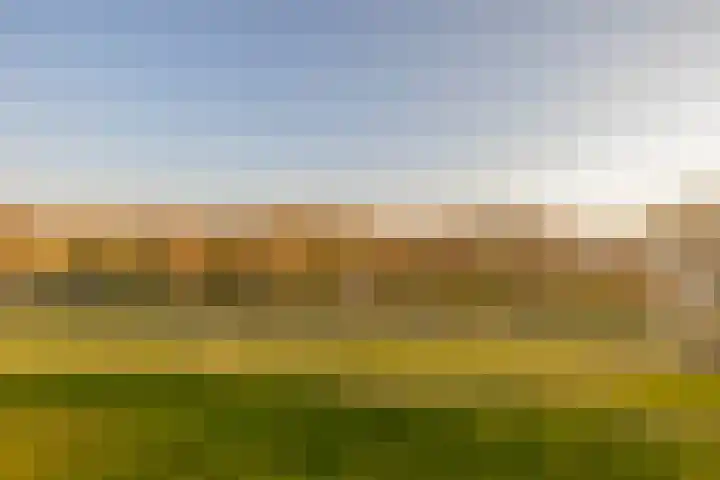 Oostmaaslaan 274 Rotterdam thumbnail 31