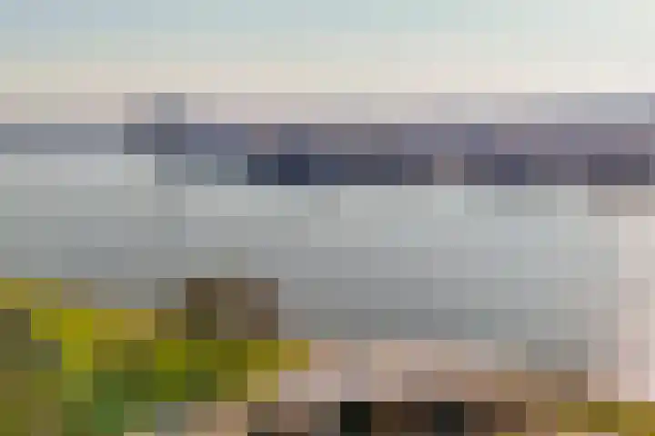 Oostmaaslaan 274 Rotterdam thumbnail 5