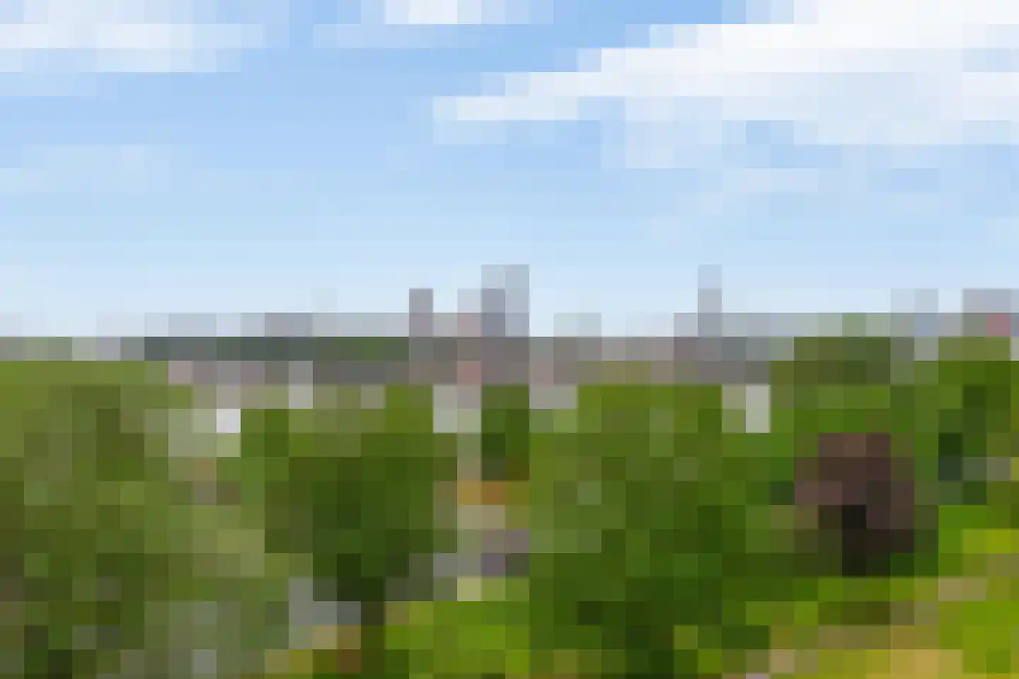 Oostmaaslaan 286 Rotterdam thumbnail 18