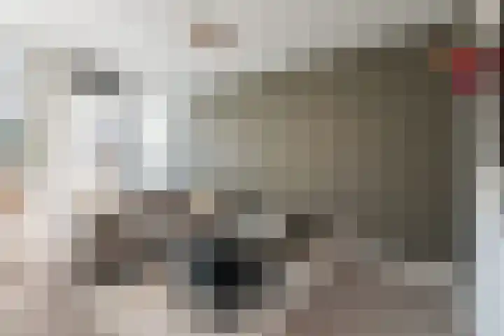 Oostmaaslaan 291 Rotterdam thumbnail 20