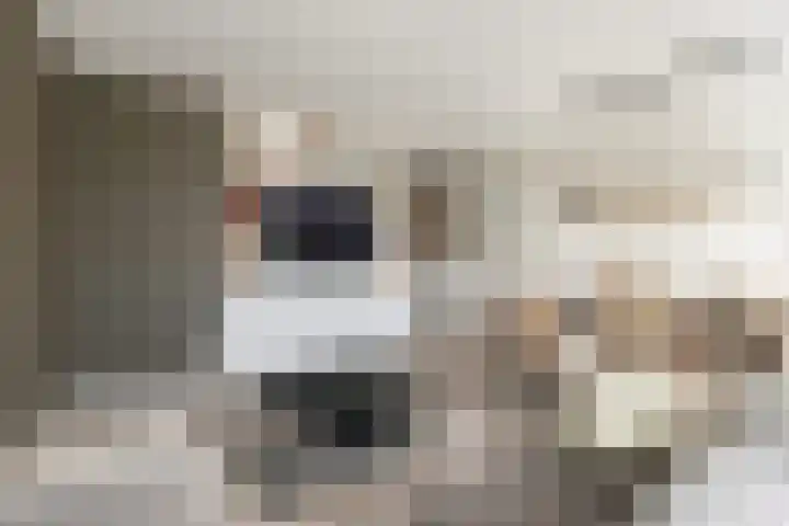 Oostmaaslaan 291 Rotterdam thumbnail 23