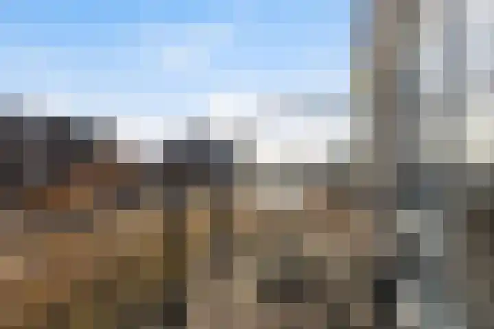 Oostmaaslaan 291 Rotterdam thumbnail 29