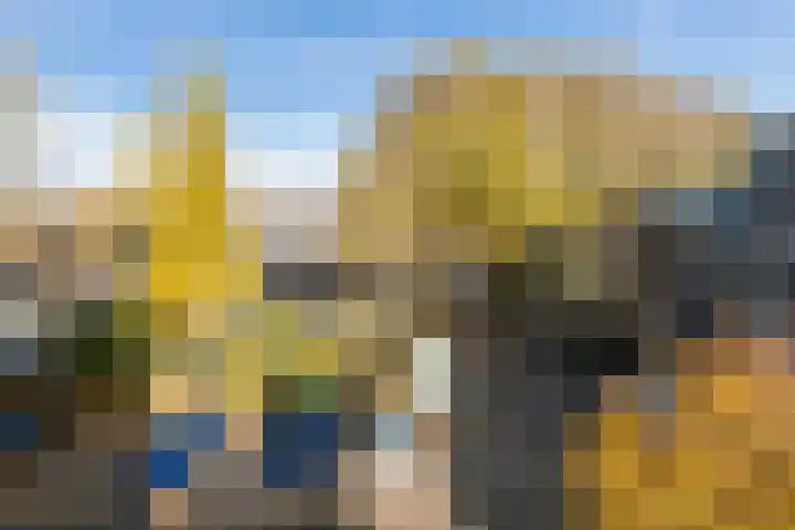 Oostmaaslaan 291 Rotterdam thumbnail 30
