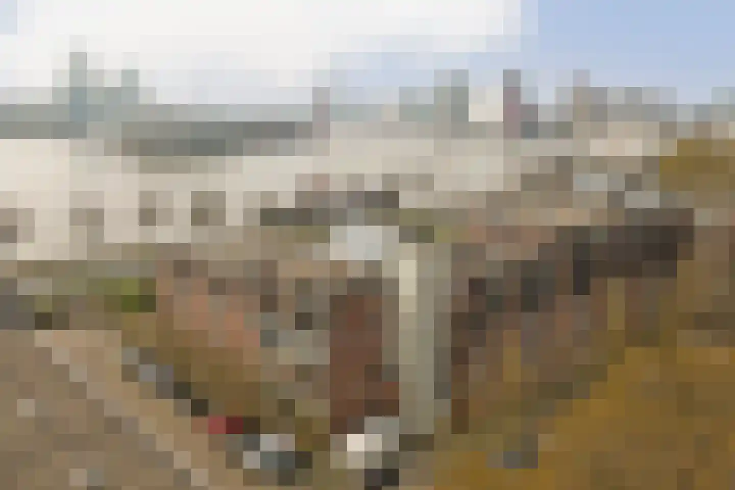 Oostmaaslaan 293 Rotterdam thumbnail 31