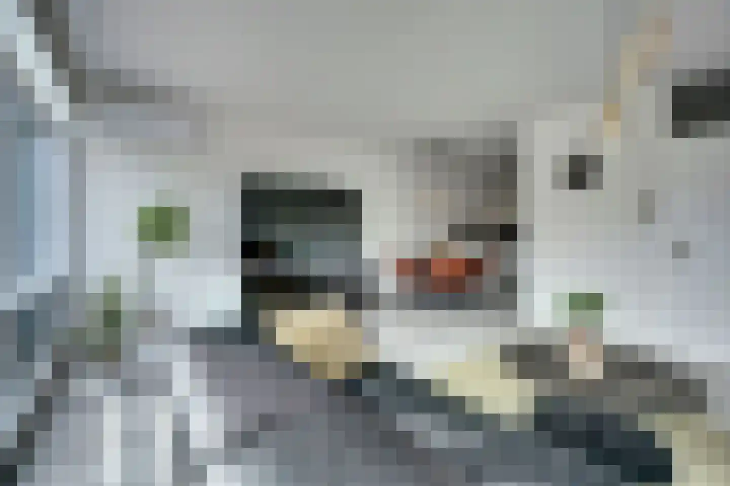 Oostmaaslaan 293 Rotterdam thumbnail 4