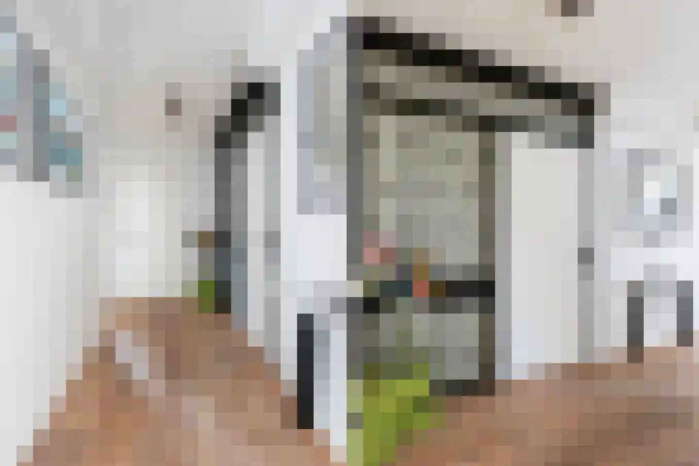 Oostmaaslaan 338 Rotterdam thumbnail 4