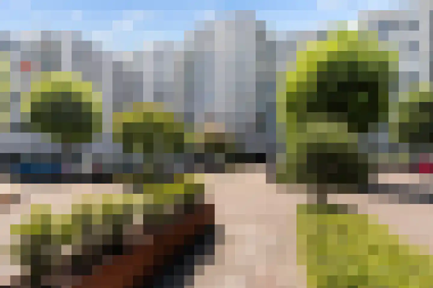 Oostmaaslaan 338 Rotterdam thumbnail 4