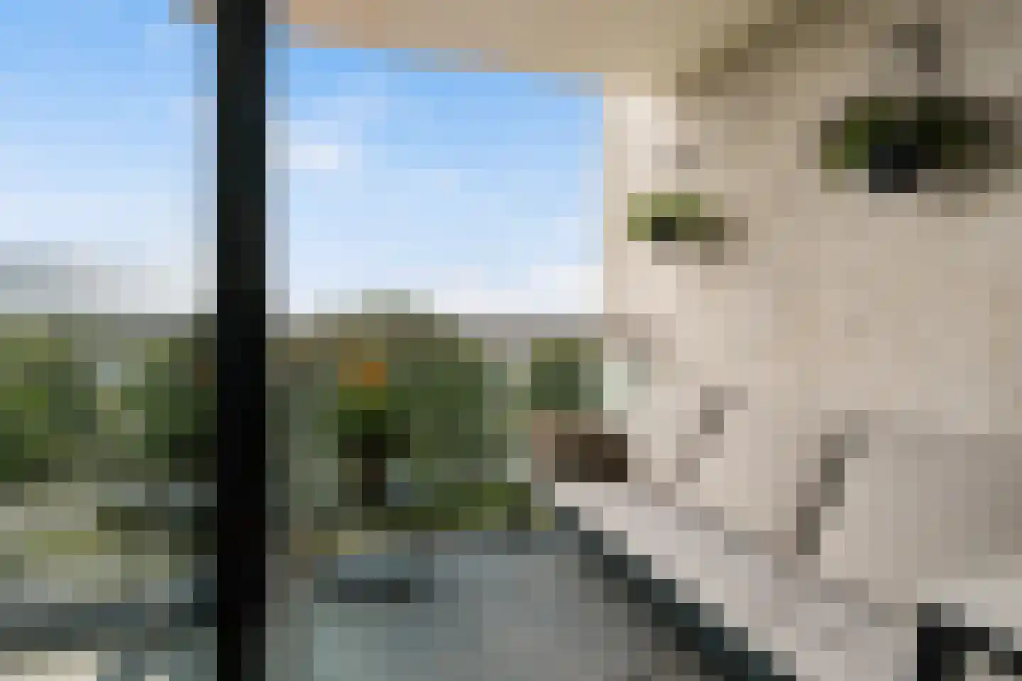 Oostmaaslaan 338 Rotterdam thumbnail 8
