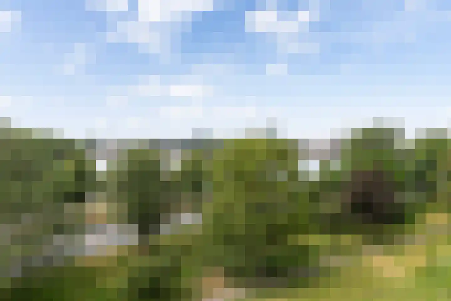 Oostmaaslaan 338 Rotterdam thumbnail 9