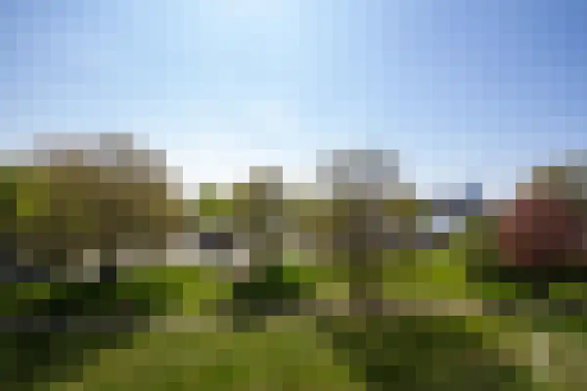 Oostmaaslaan 346 Rotterdam thumbnail 5