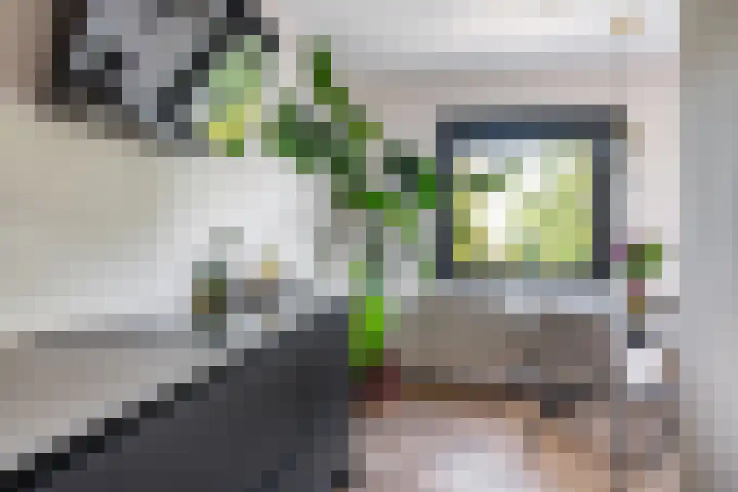 Oostmaaslaan 347 Rotterdam thumbnail 11
