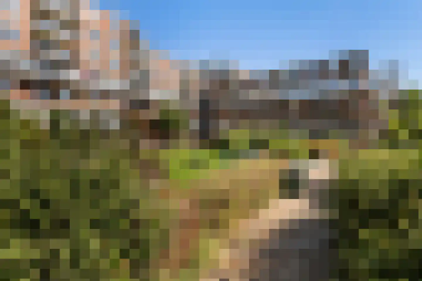 Oostmaaslaan 347 Rotterdam thumbnail 23