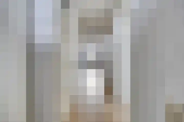 Oostmaaslaan 355 Rotterdam thumbnail 16