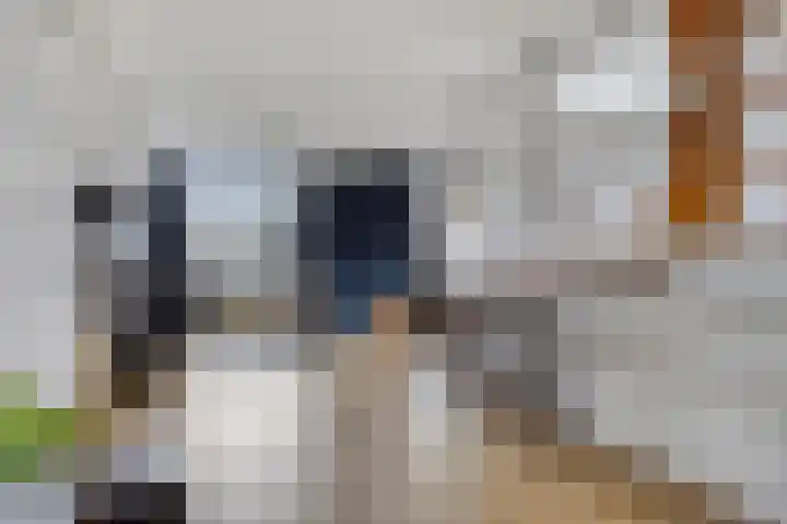 Oostmaaslaan 355 Rotterdam thumbnail 17