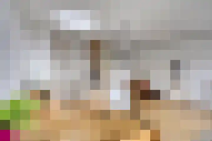 Oostmaaslaan 355 Rotterdam thumbnail 19