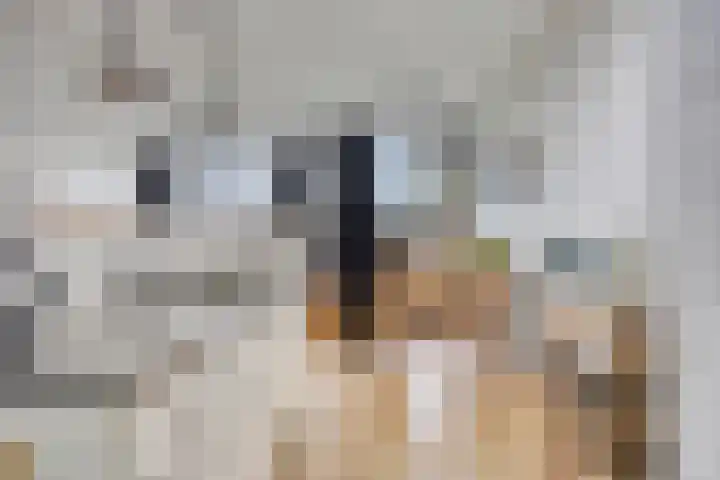 Oostmaaslaan 355 Rotterdam thumbnail 20