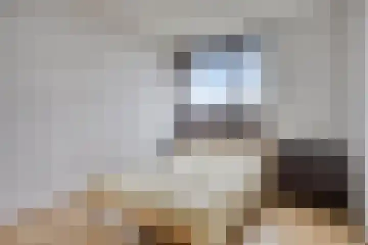 Oostmaaslaan 355 Rotterdam thumbnail 22