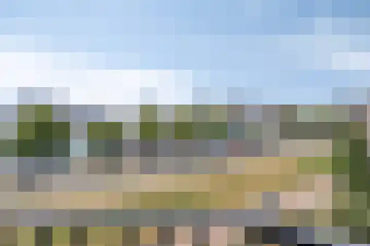 Oostmaaslaan 355 Rotterdam thumbnail 26