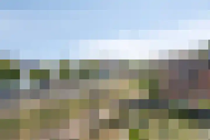 Oostmaaslaan 355 Rotterdam thumbnail 27