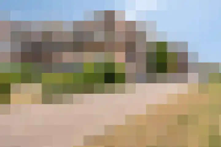 Oostmaaslaan 355 Rotterdam thumbnail 6