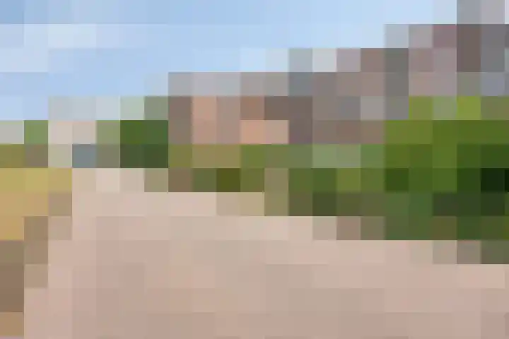 Oostmaaslaan 355 Rotterdam thumbnail 7