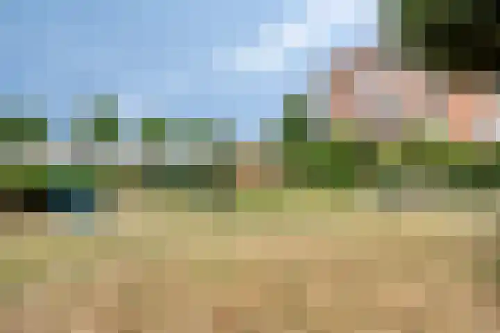 Oostmaaslaan 355 Rotterdam thumbnail 8