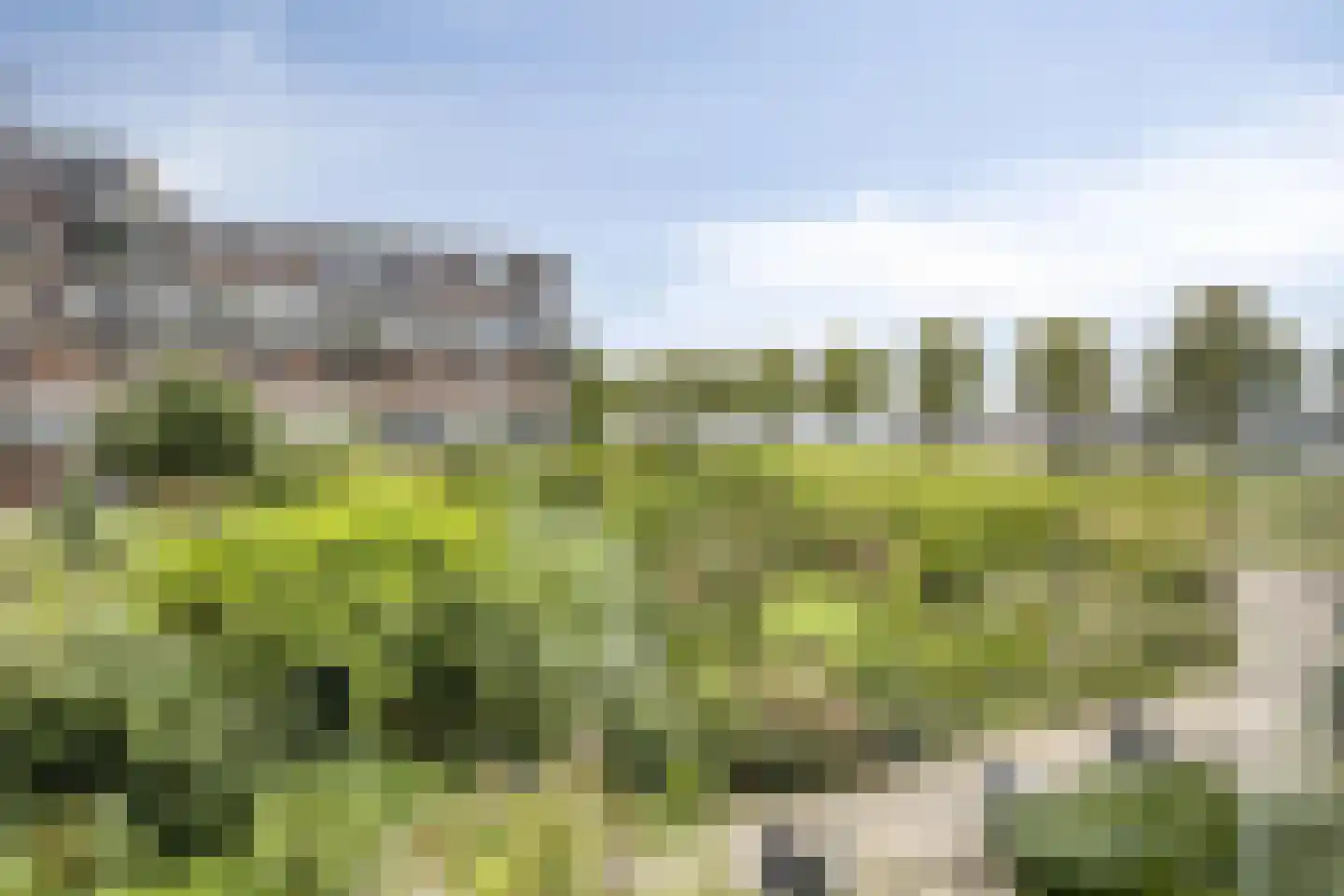 Oostmaaslaan 381 Rotterdam thumbnail 32