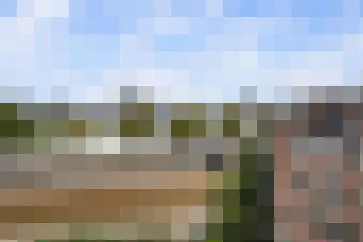 Oostmaaslaan 449 Rotterdam thumbnail 17