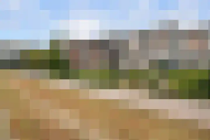 Oostmaaslaan 449 Rotterdam thumbnail 22