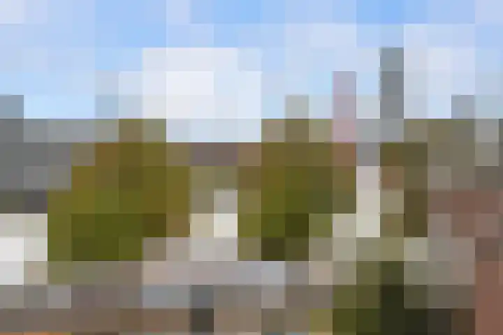 Oostmaaslaan 449 Rotterdam thumbnail 26