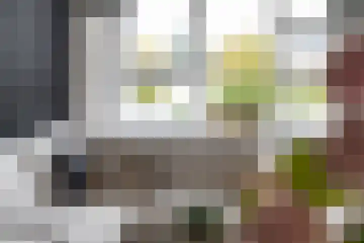 Oostmaaslaan 449 Rotterdam thumbnail 4